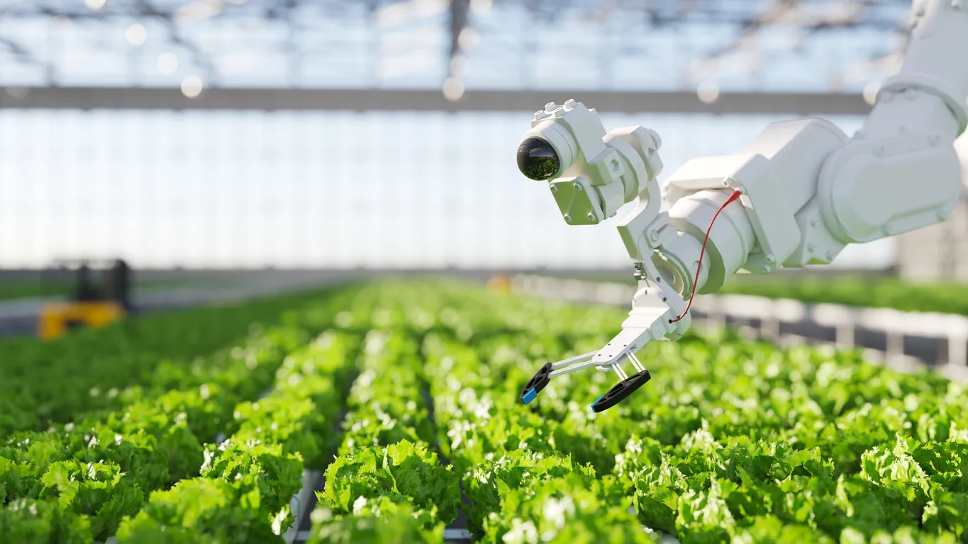 Modern greenhouse-based farming